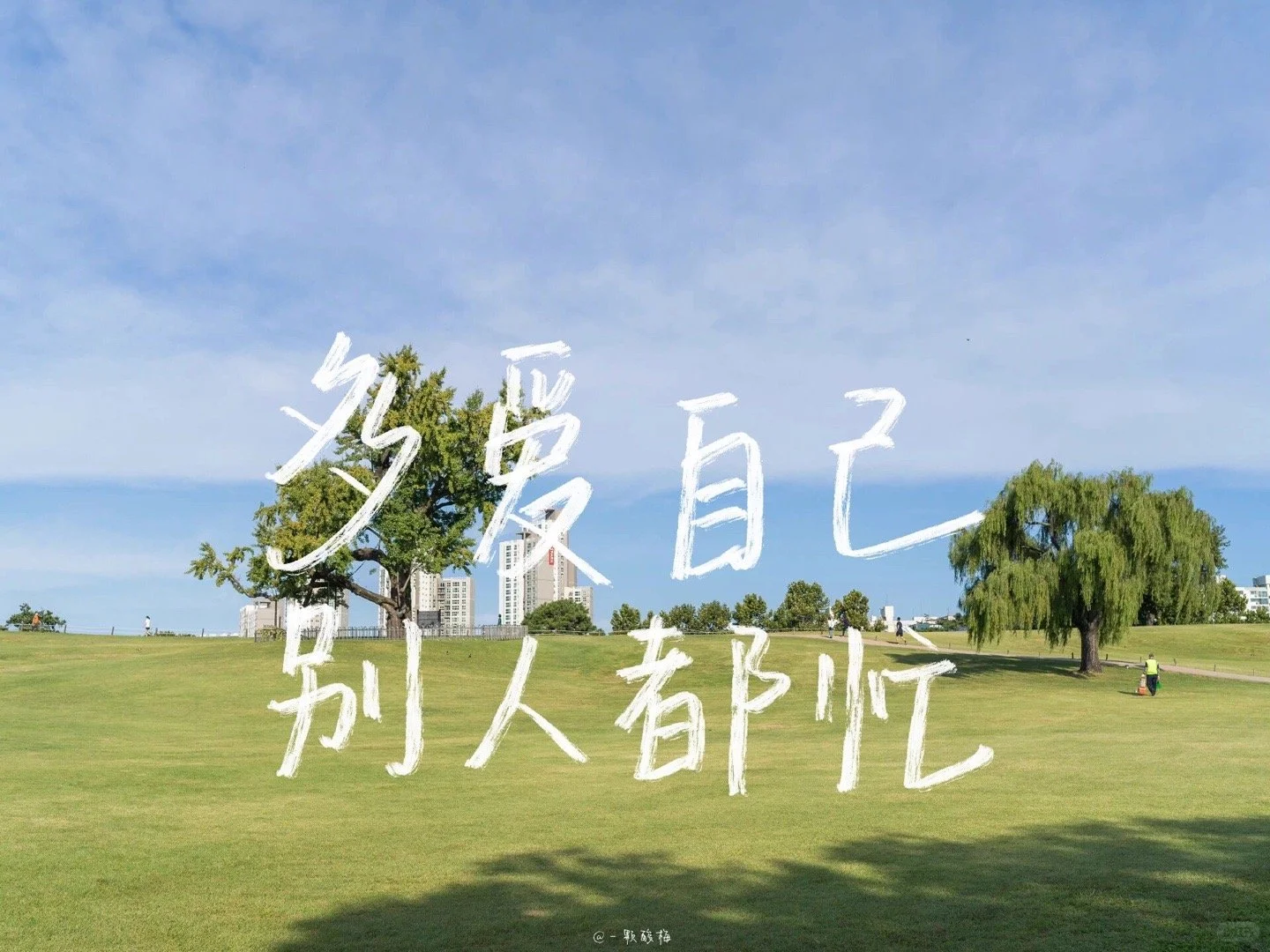 一期手写文字iPad电脑壁纸～