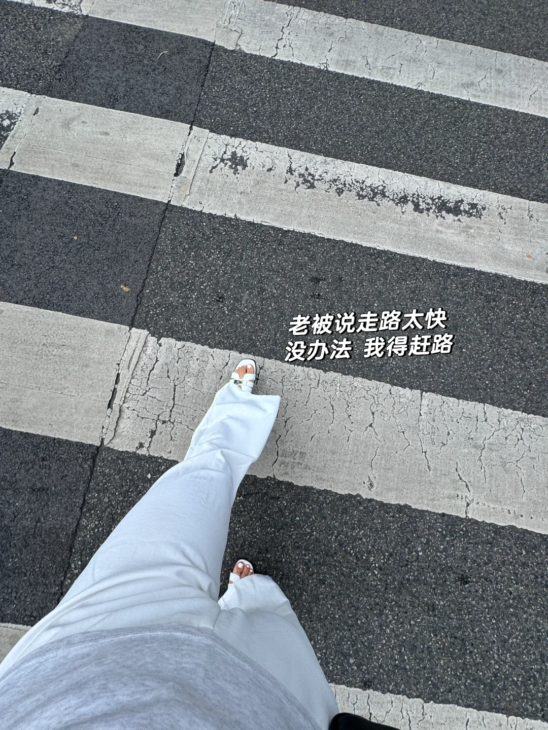 白色绝对的显臀