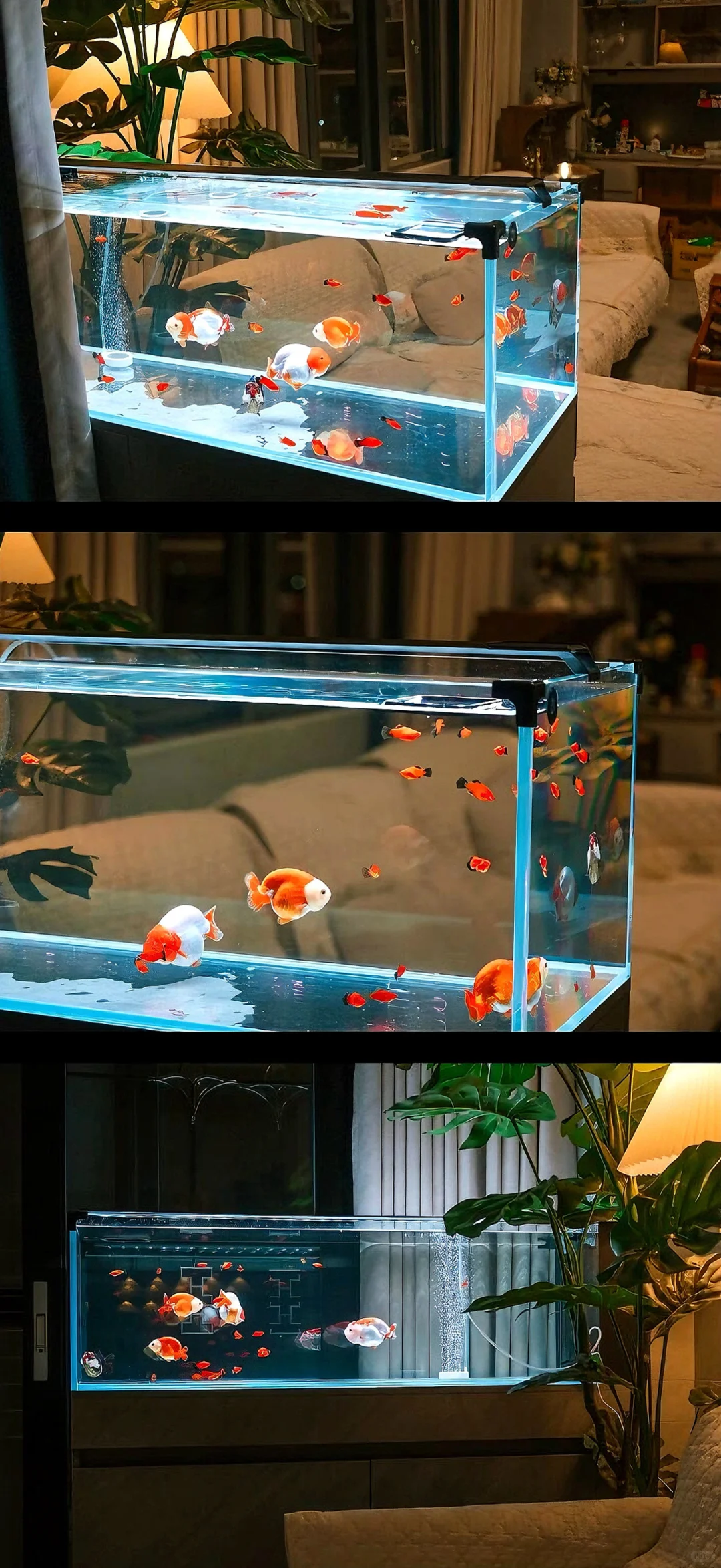 今日份壁纸｜小众高级感壁纸