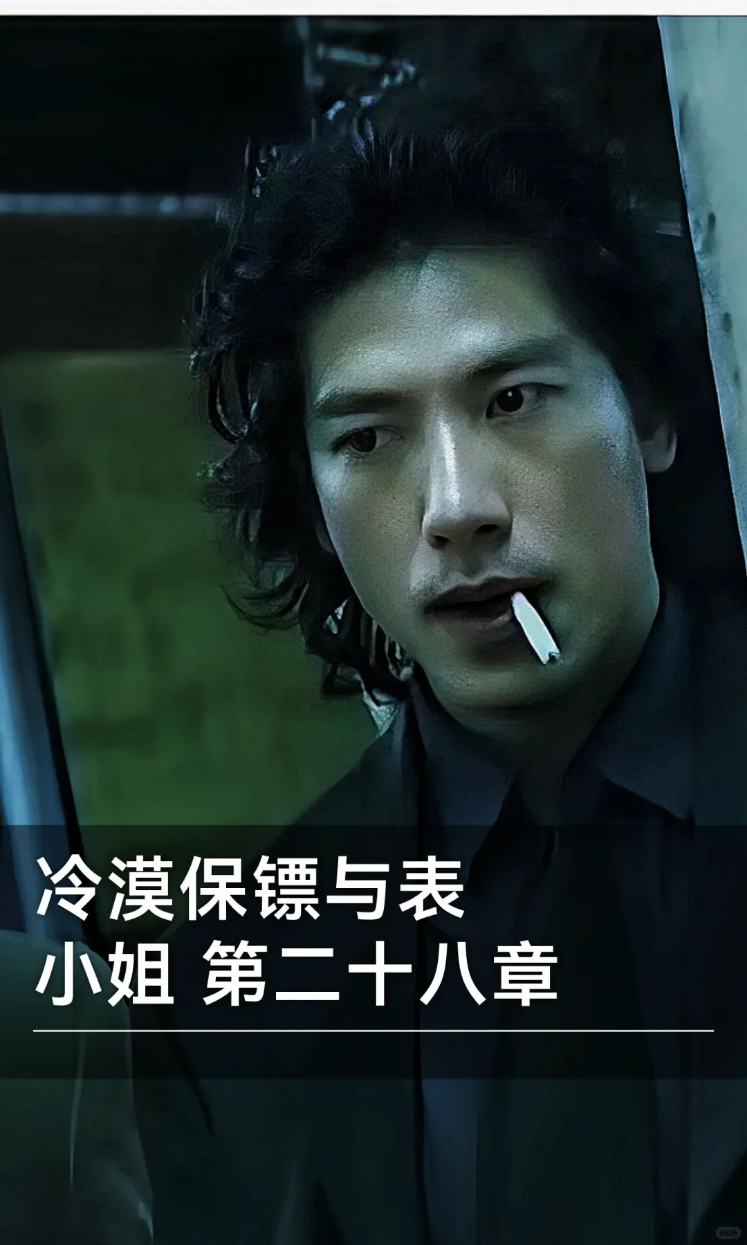 冷漠保镖与表小姐 第二十八章