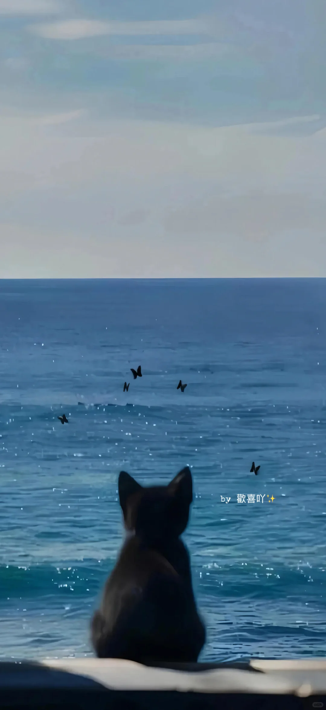 𝙨𝙝𝙖𝙧𝙚｜𝙞𝙣𝙨小众高级感手机壁纸📱