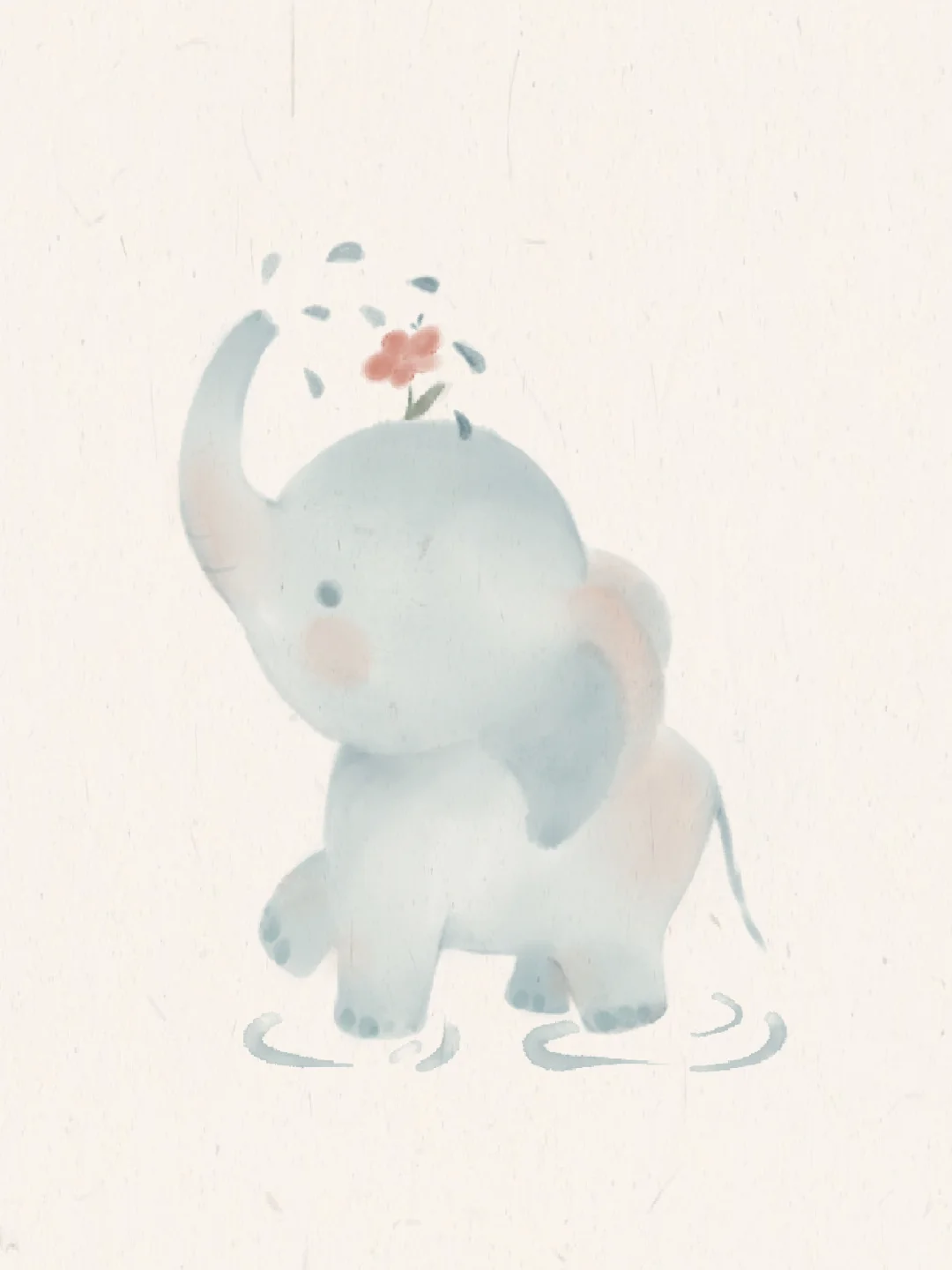 Don’t worry 自然系列小象🐘官宣啦