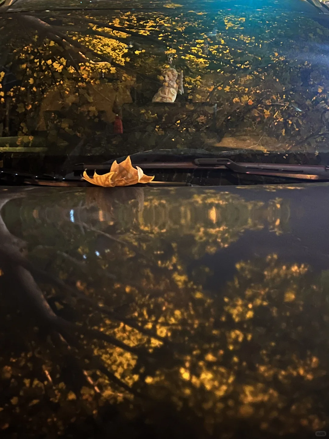 颜值焦虑的最近 只想做个美女🥹