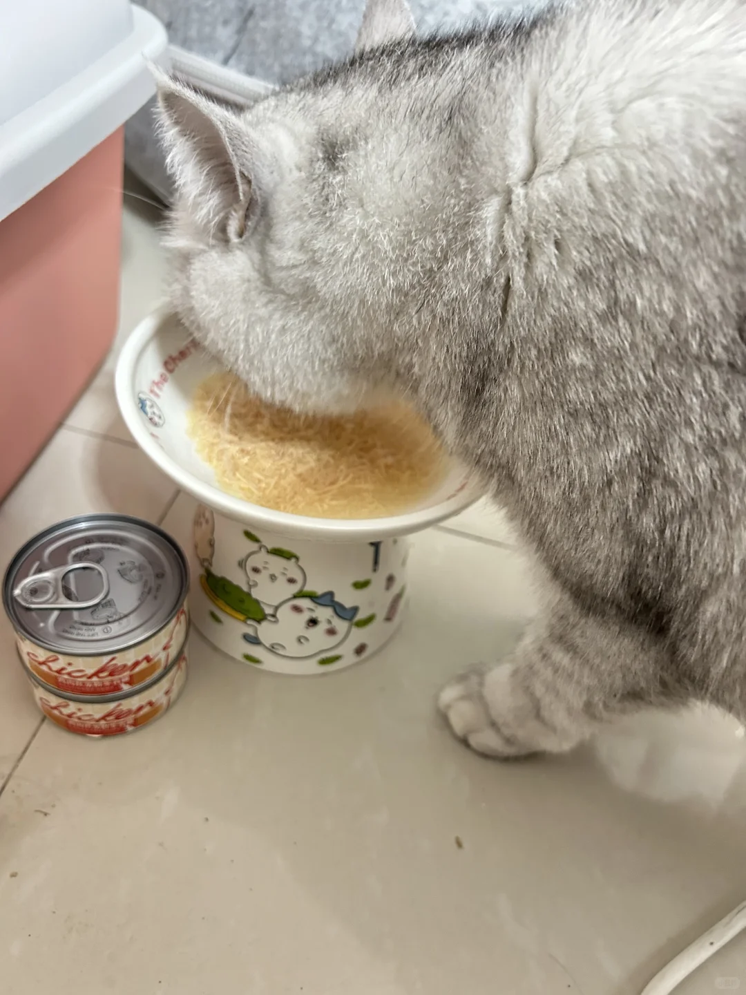 让喝水变得不再困难💧猫咪控必看！🐱