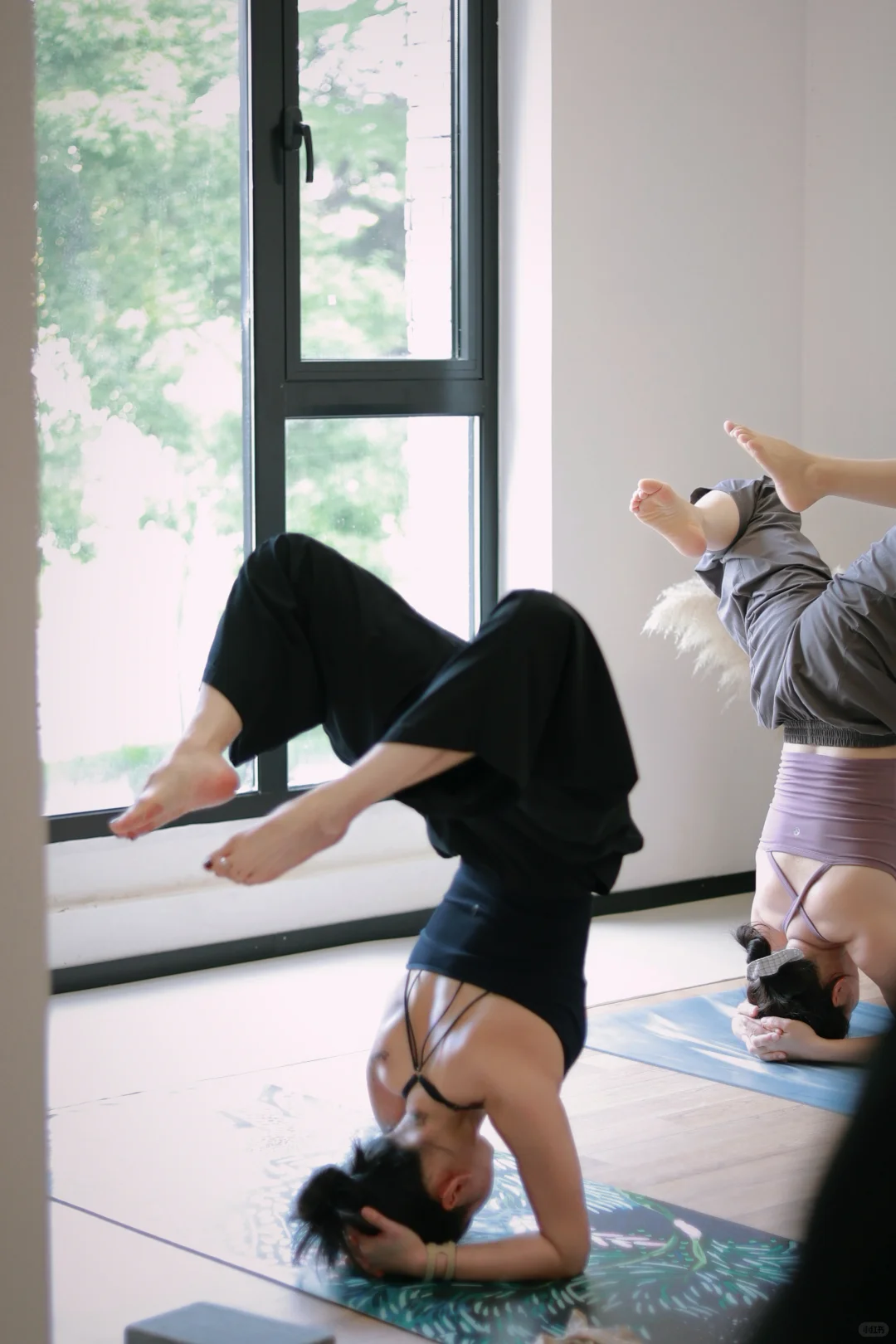 阳光斑驳 微风含香~