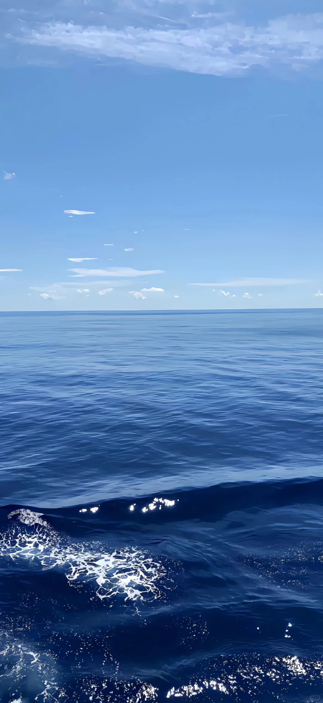 想你时风起 风起意难平