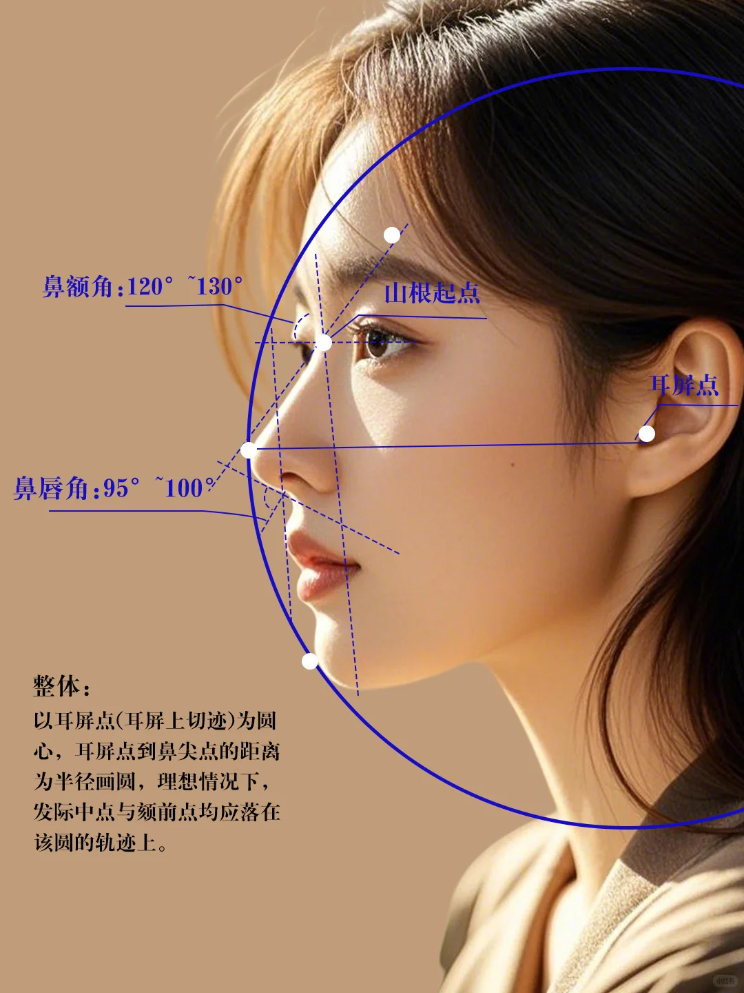 完美的鼻子比例丨你中了几个❓