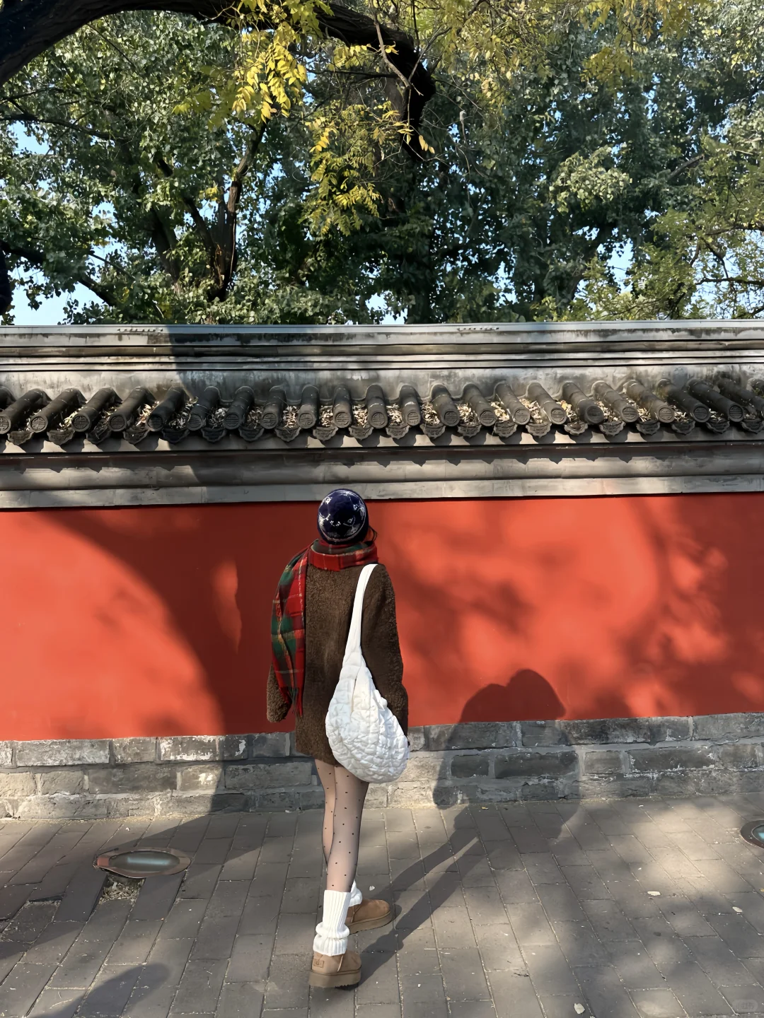 你们要的全套🔗