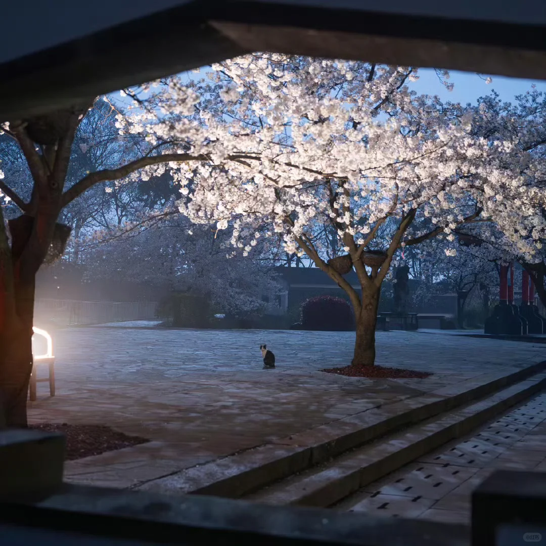 聊天背景 手机壁纸 朋友圈背景图