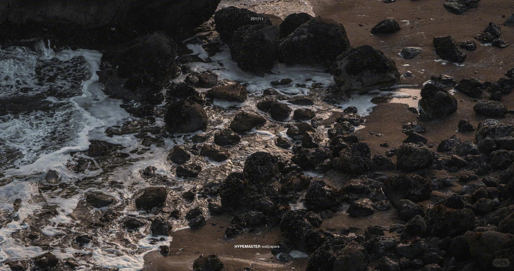 情绪舒缓的海岸电脑壁纸