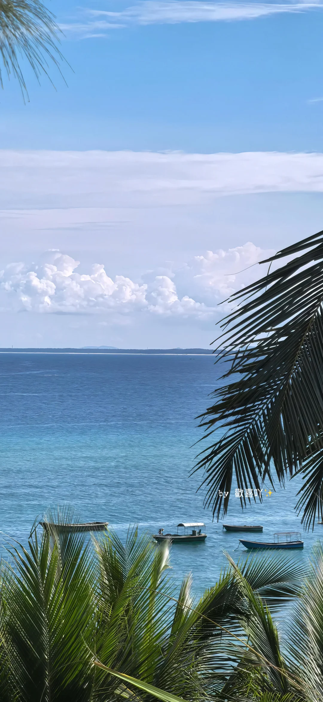 𝙨𝙝𝙖𝙧𝙚｜𝙞𝙣𝙨小众高级感手机壁纸📱