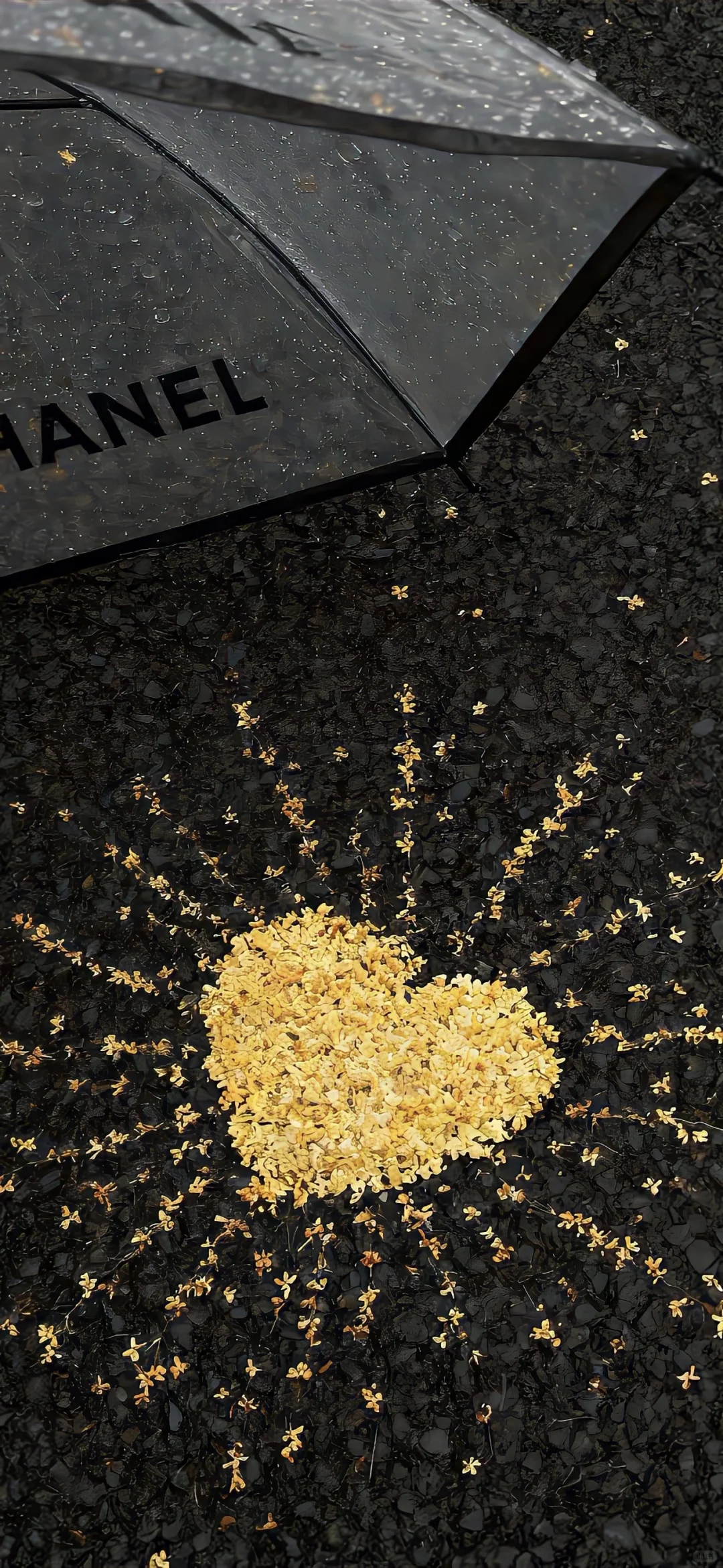 ins小众高级感手机壁纸🥰