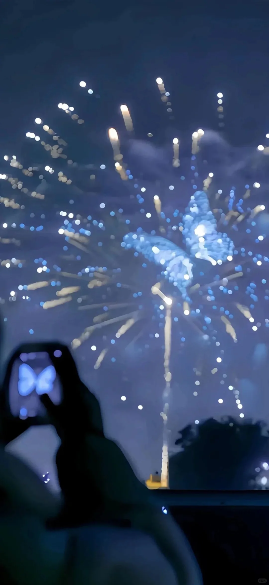 想你时风起 风起意难平