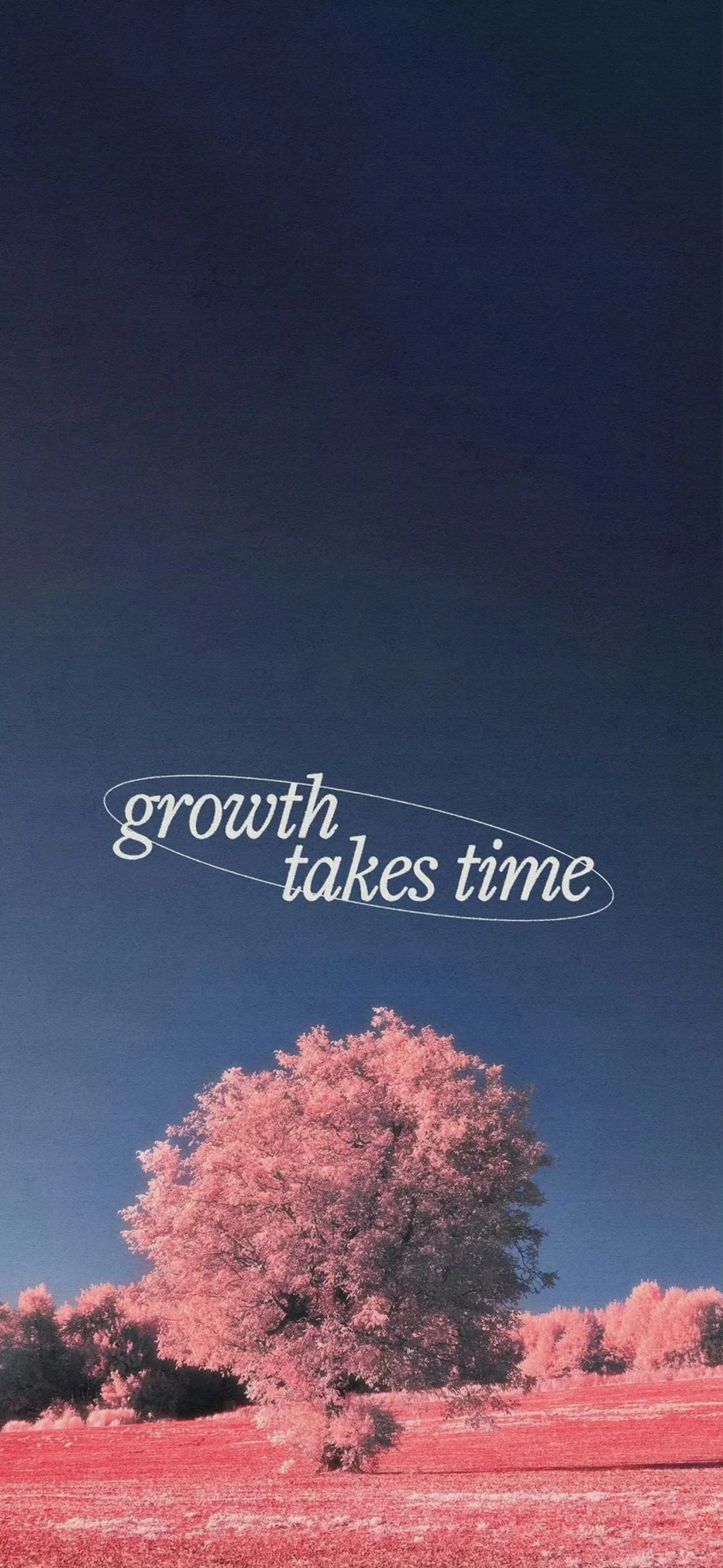 wallpaper｜無水印潮流壁纸