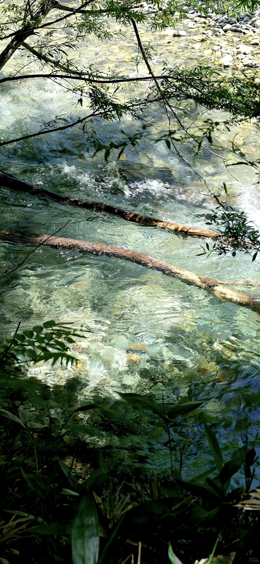 ins小众高级感手机壁纸🥰