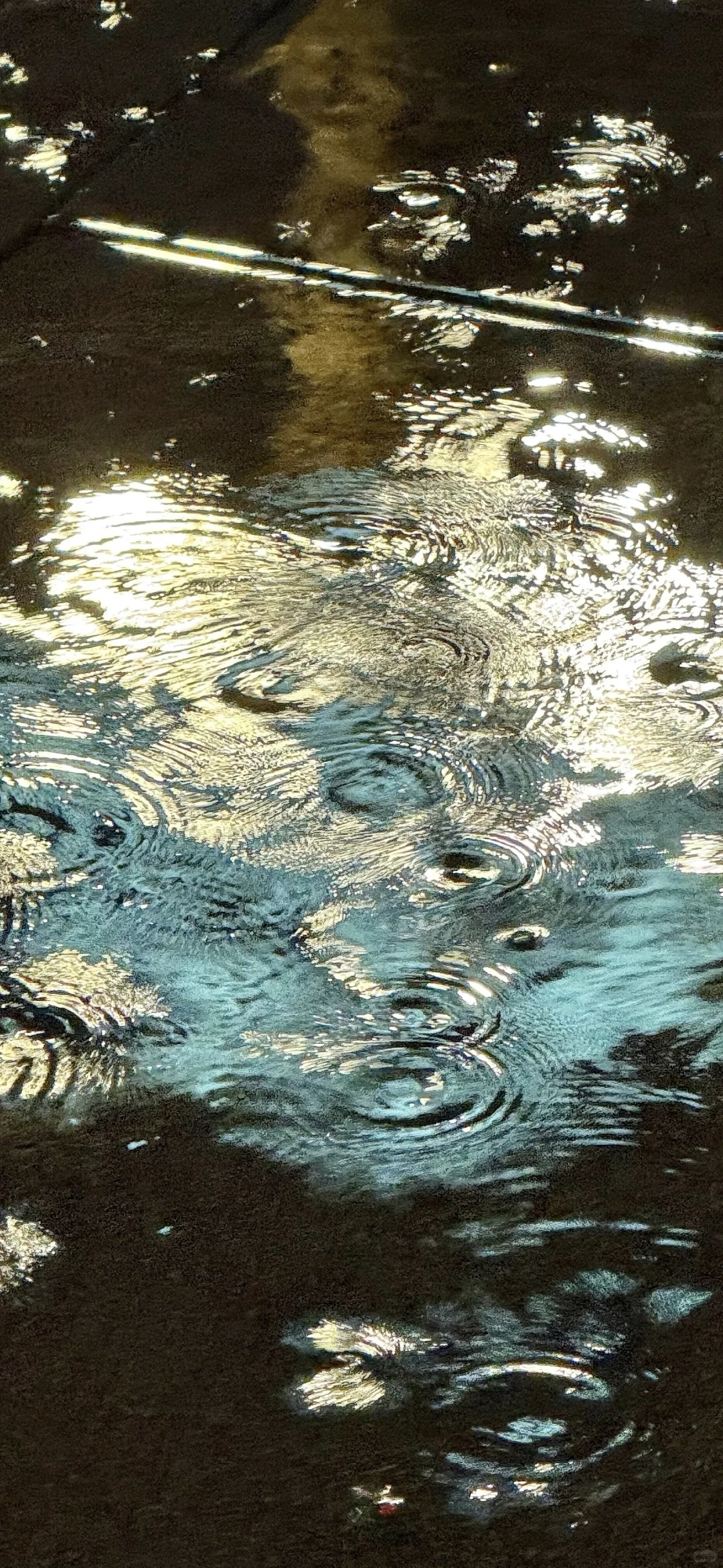 ins小众高级感手机壁纸🥰