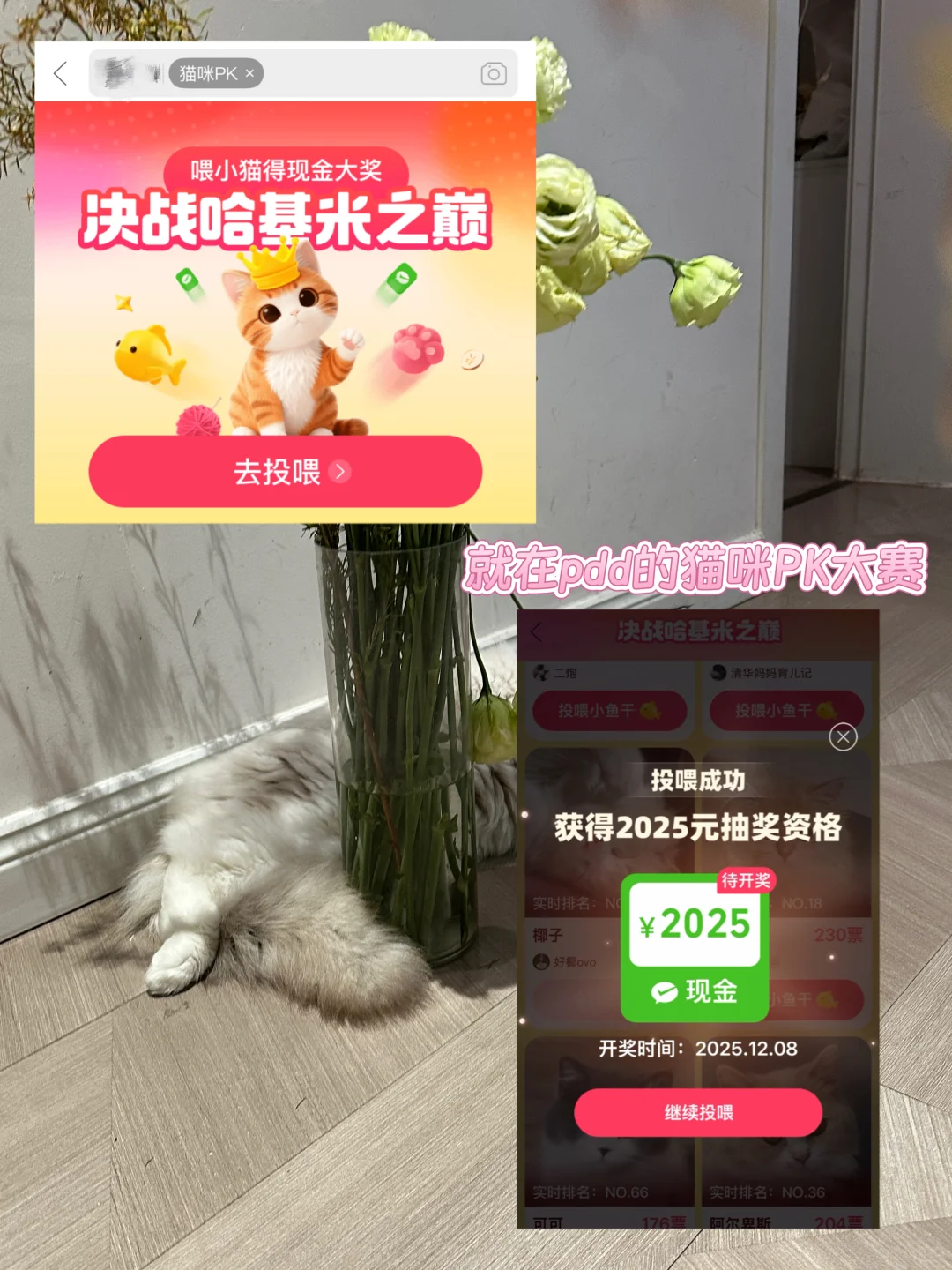 你温柔小姨姐也是漂亮女神pdd哈基咪之巅