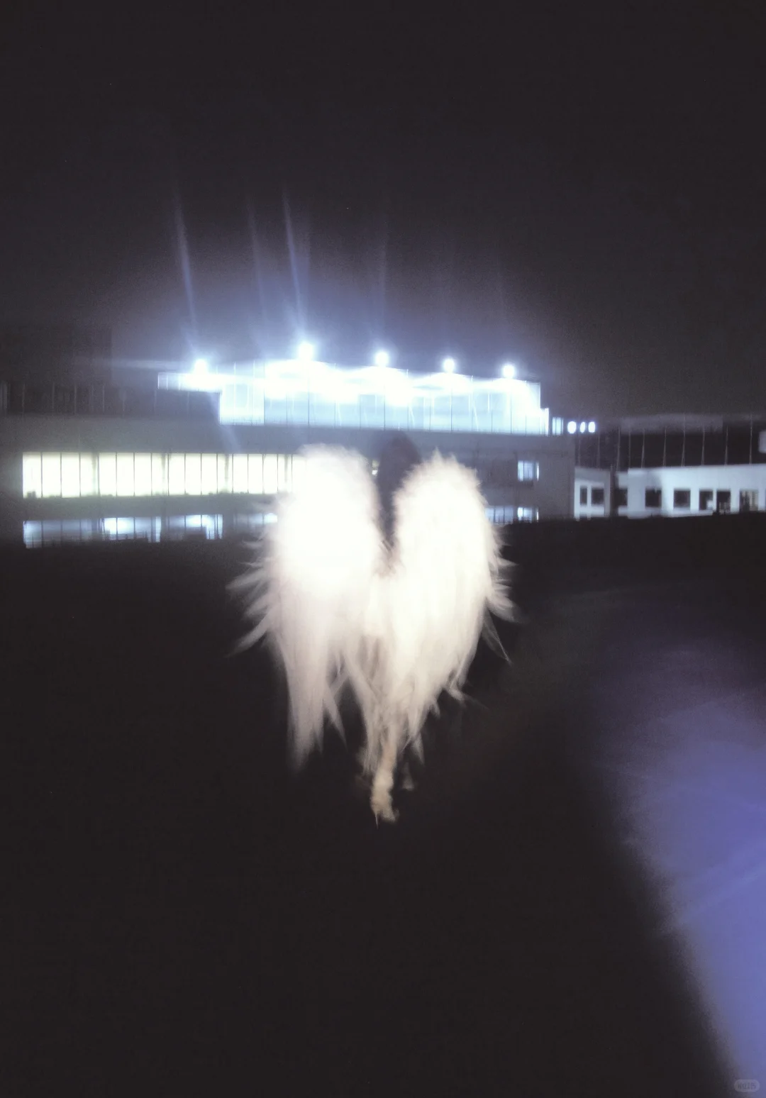 十分钟拍完的暗夜天使