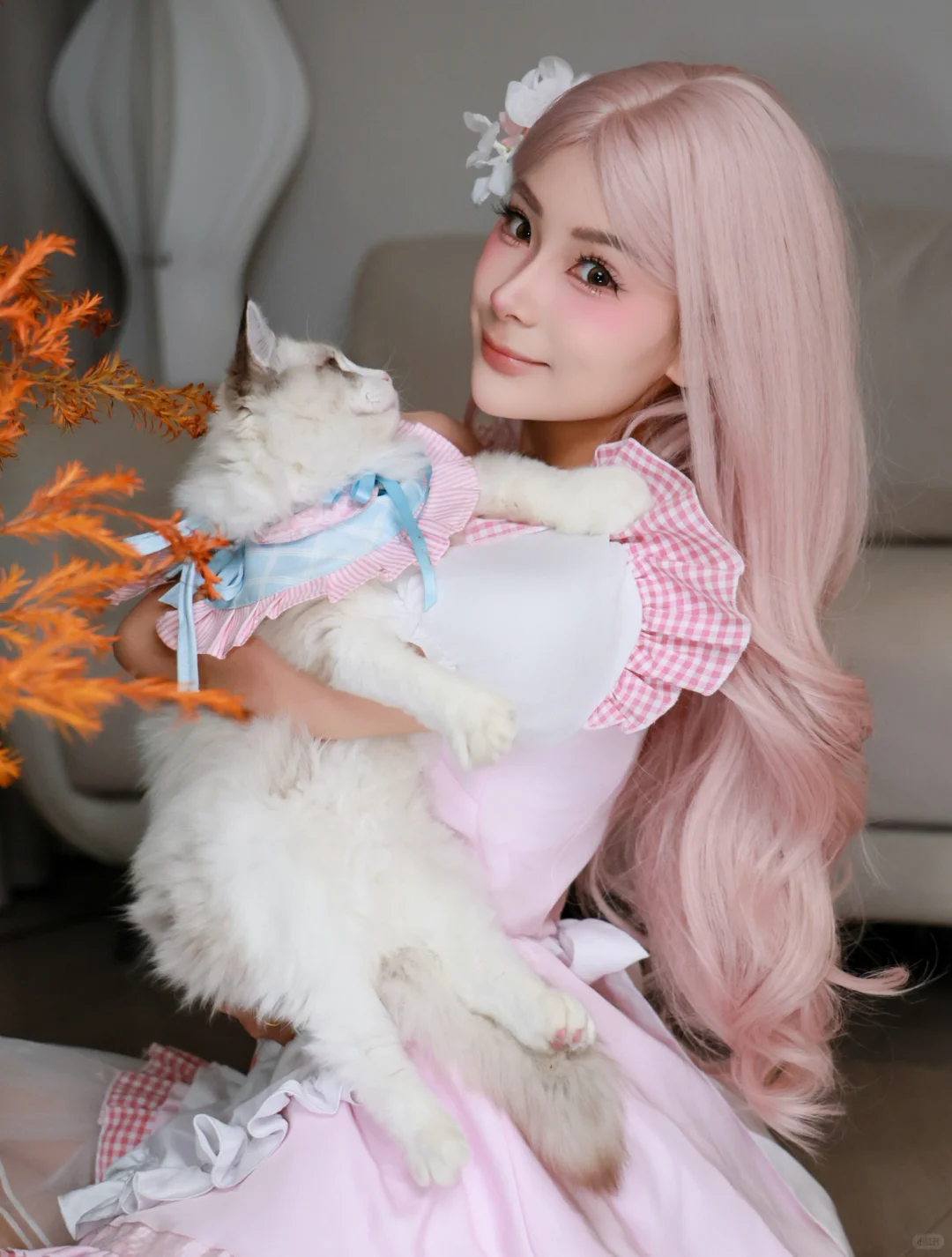 你温柔小姨姐也是漂亮女神pdd哈基咪之巅