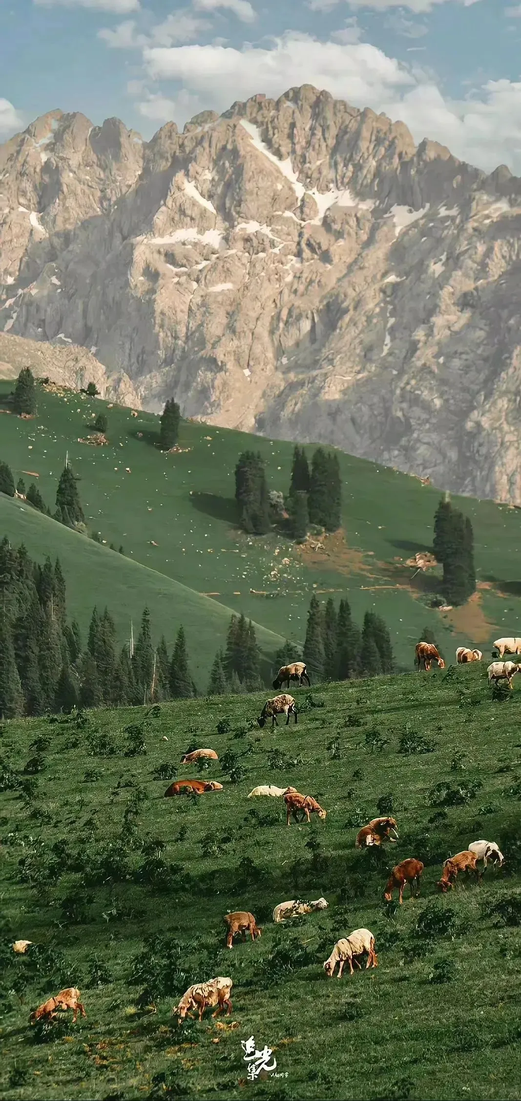 𝙬𝙖𝙡𝙡𝙥𝙖𝙥𝙚𝙧 | 高级ins高清全屏壁纸