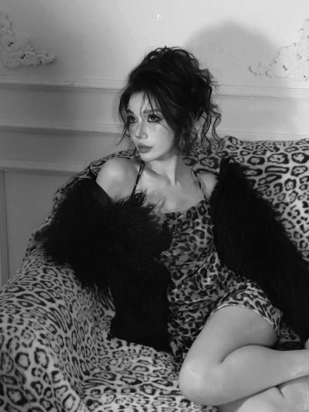 迷人的豹子女士像你问好| 感受夜晚的慵懒