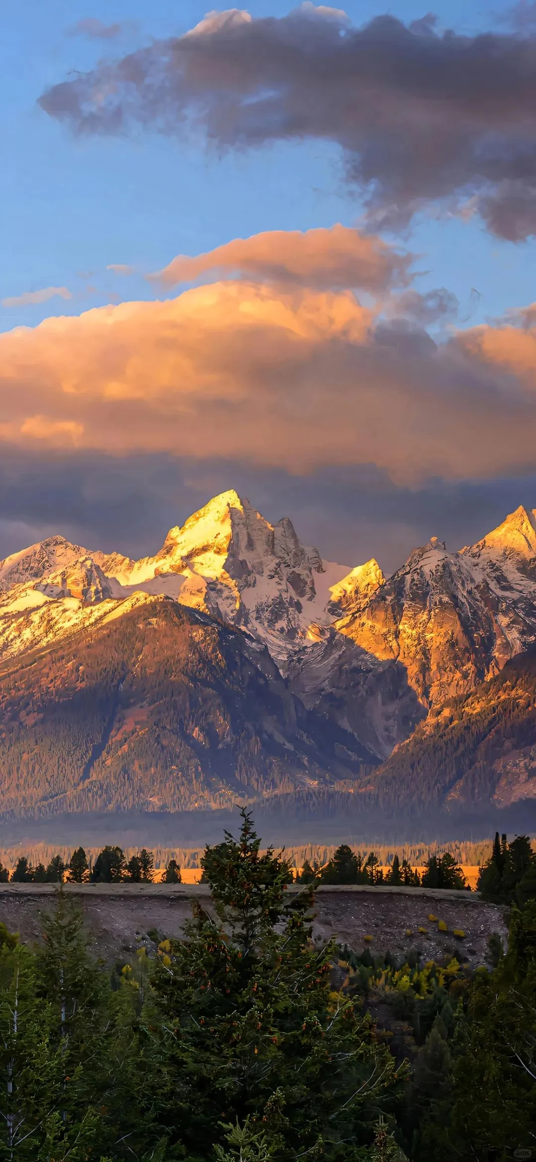 高级质感氛围感壁纸！