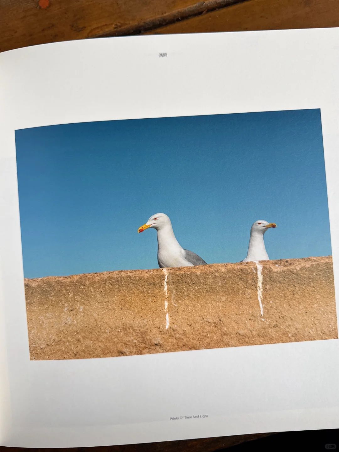 摄影师唐僧出书啦！好绝的旅行摄影集