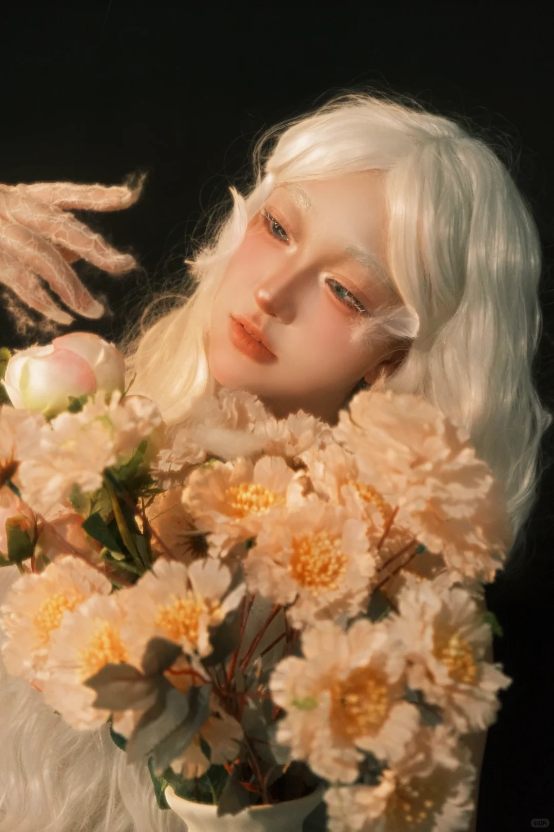 在邵阳竟然拍到了天使！