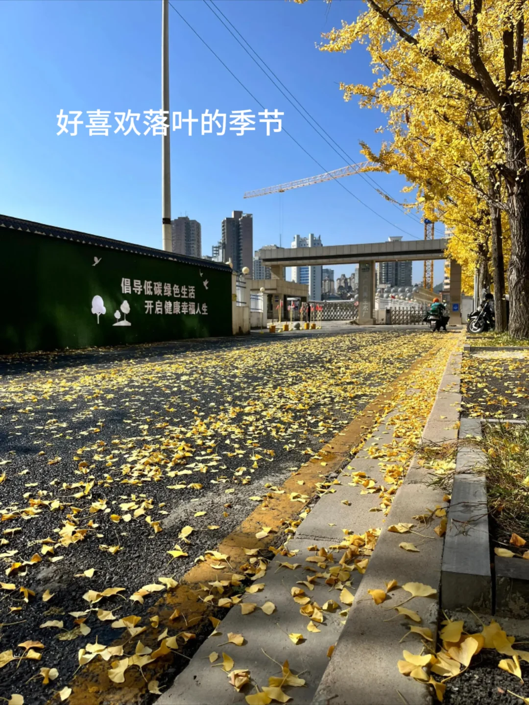 主播维护大哥是现实还是情义？！