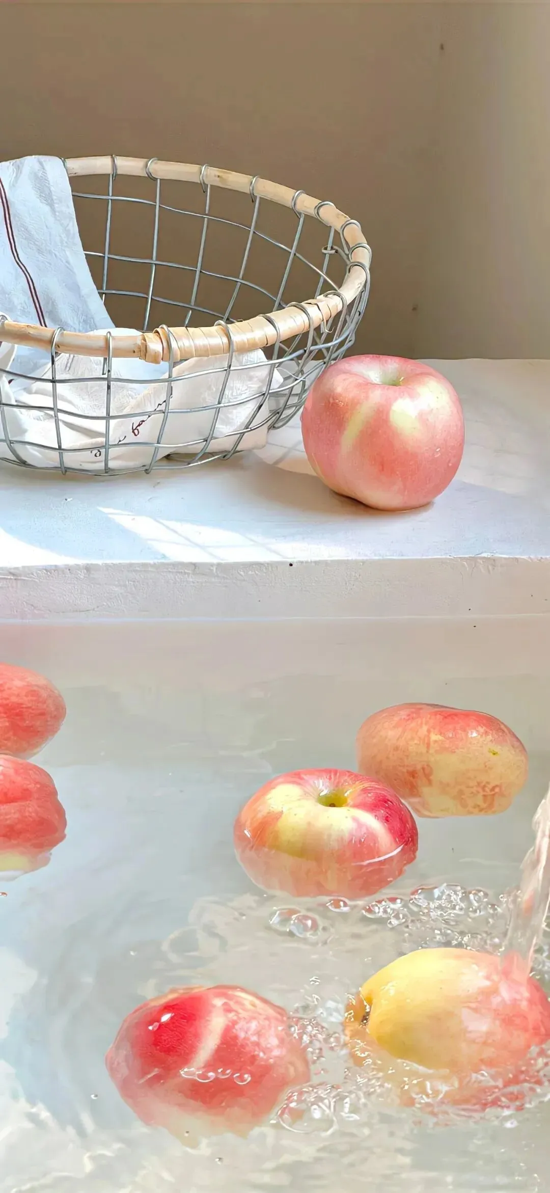 𝗦𝗛𝗔𝗥𝗘：ins风壁纸