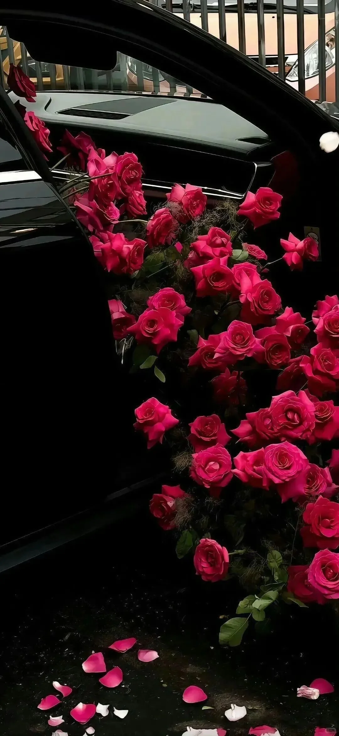 Red｜红色系壁纸合集