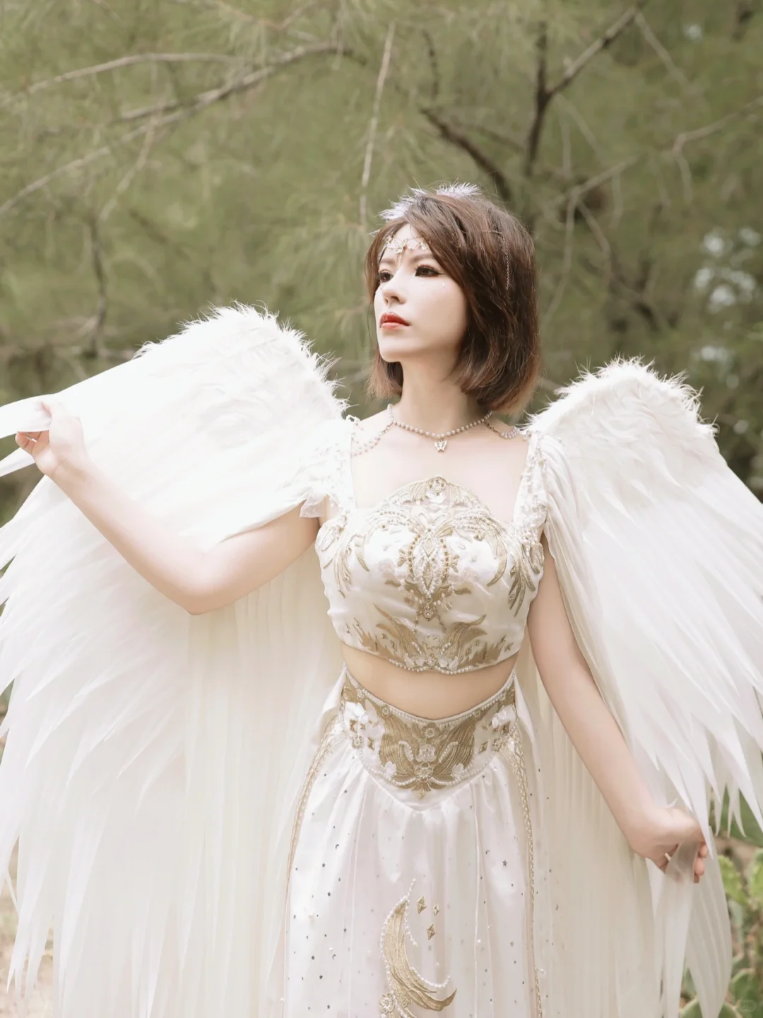 快看看我拍到的仙女～｜天使系列