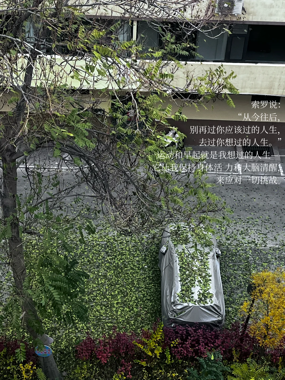 人一定要运动和早起