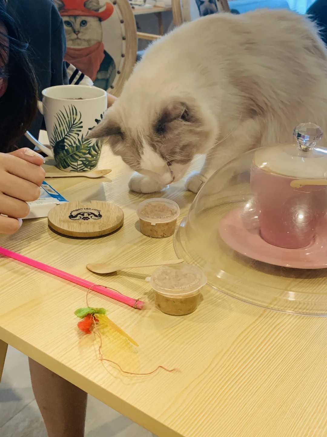 我只是犯了全天下女人都会犯的错🤫