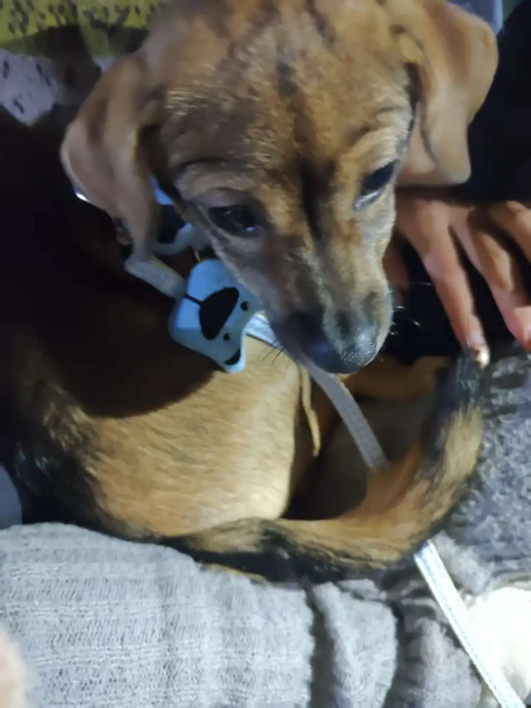 宝宝你是个尤物