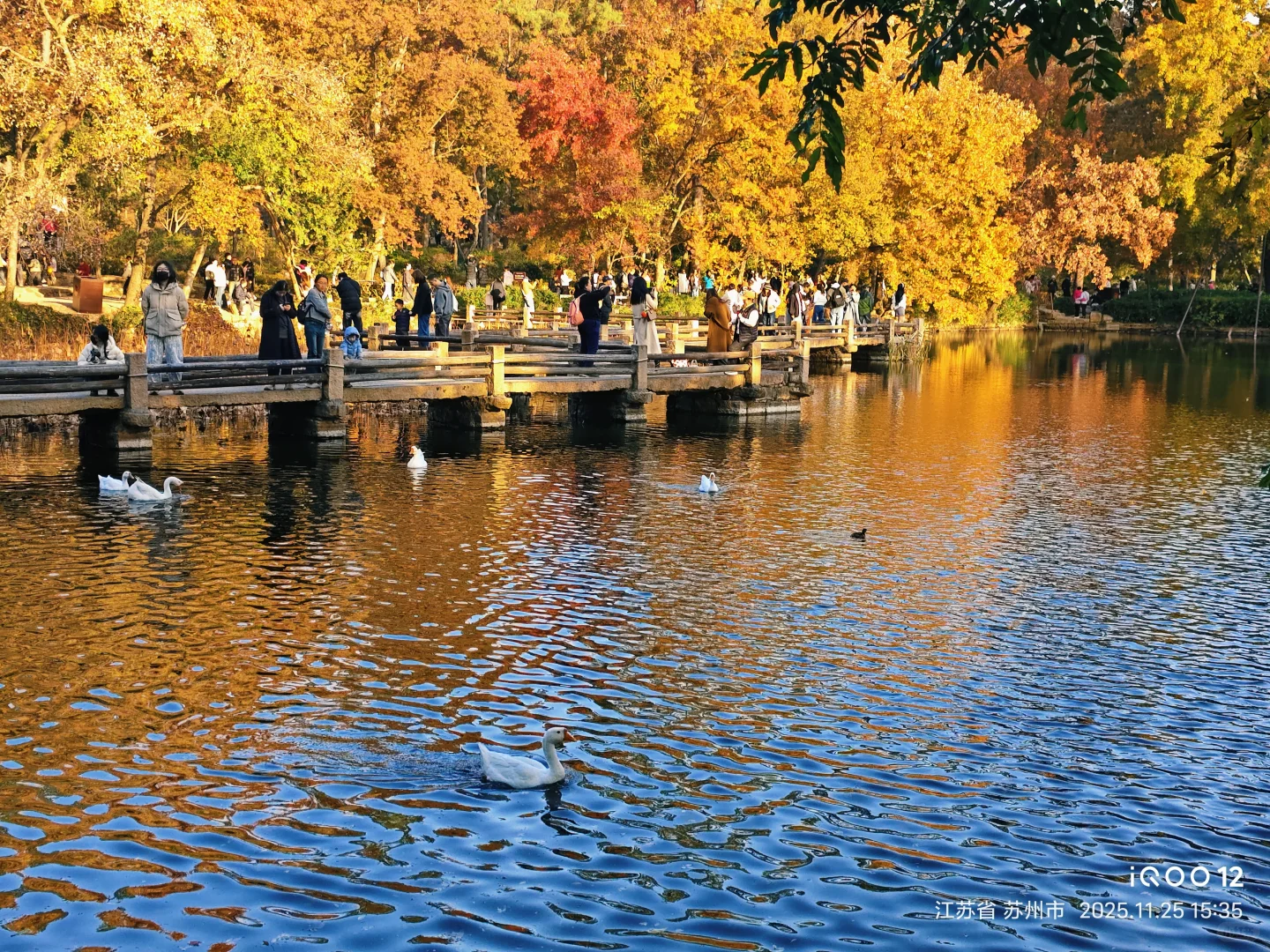 白毛浮绿水，红掌拨清波，天平山秋景美如画