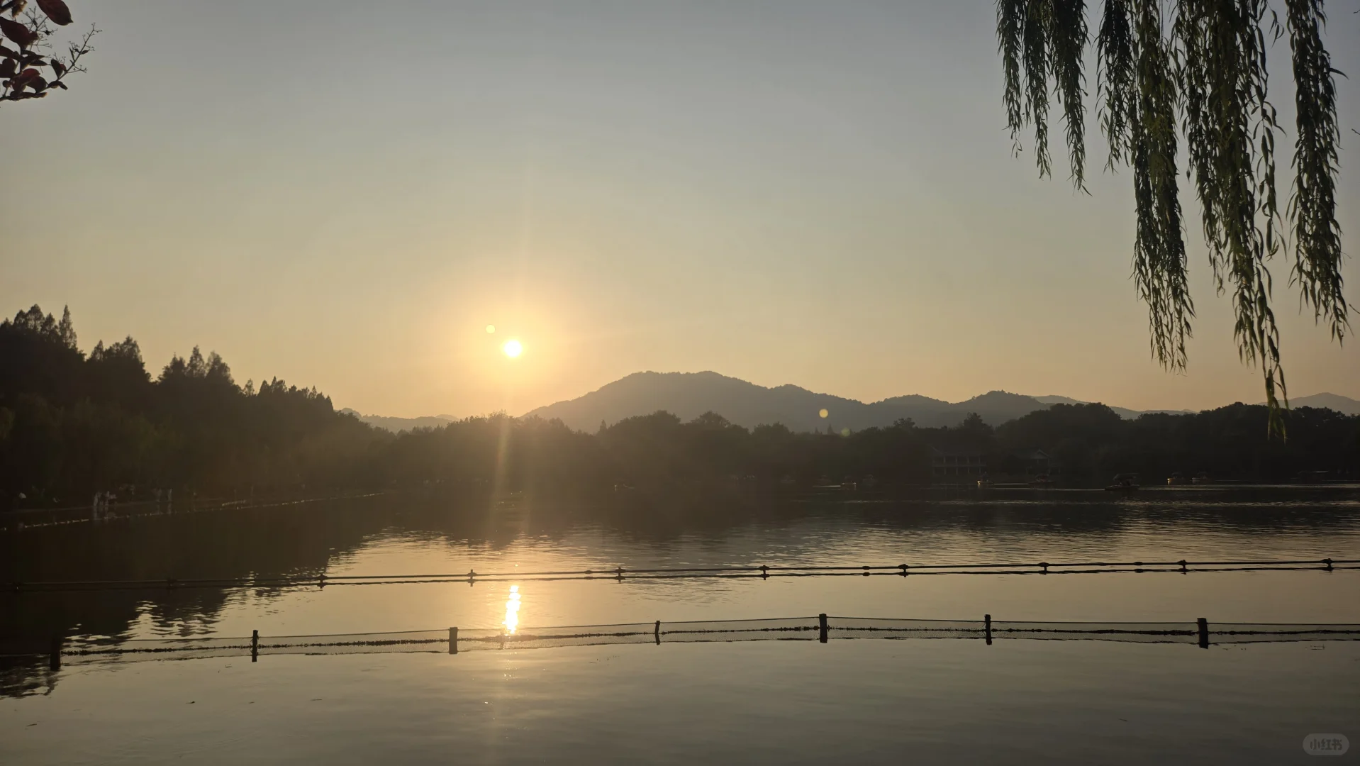 郁郁黄花，无非般若。青青翠竹，尽是法身。