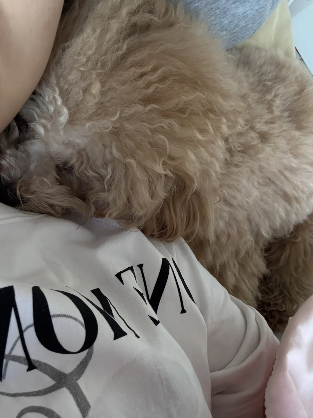 分享今日的粘人修狗🐶~