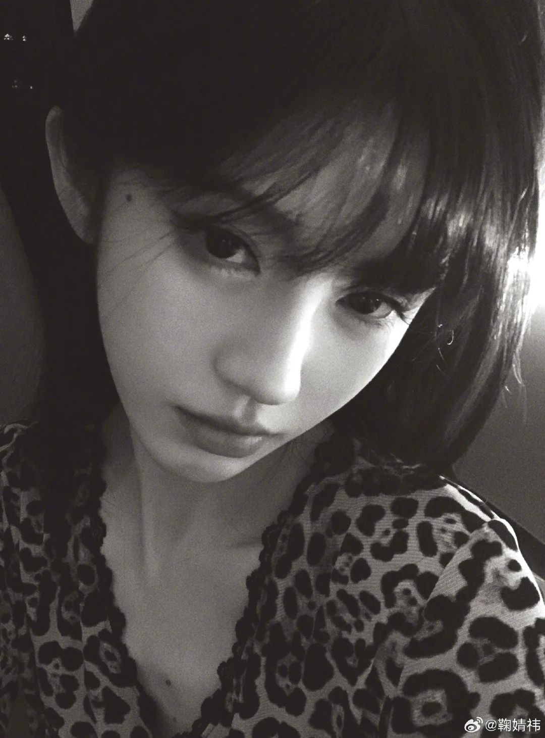 嗯对就用看狗的眼神看我