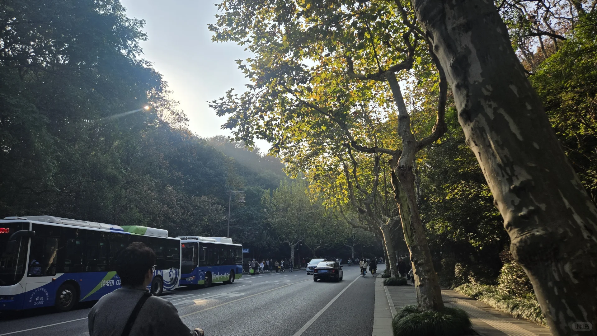 郁郁黄花，无非般若。青青翠竹，尽是法身。