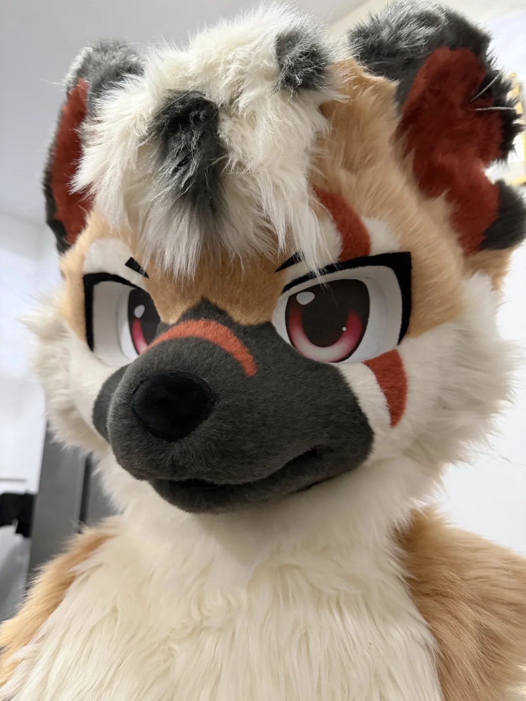 嗨 美女 一个人吗