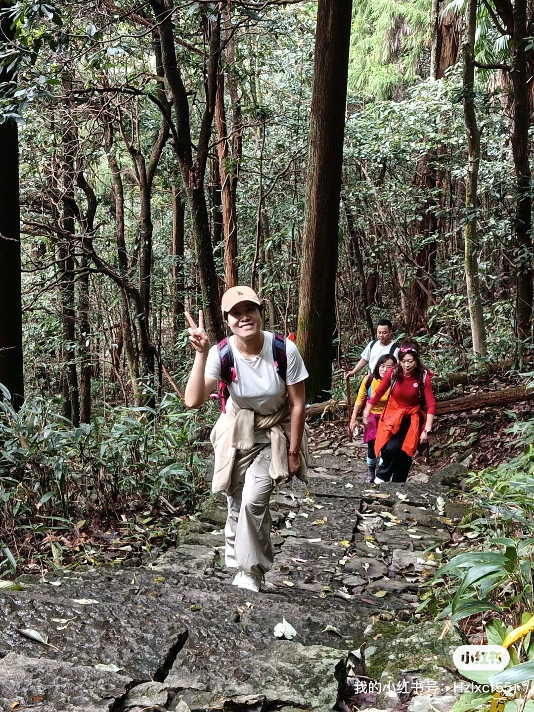 秋天的天目山#大树王#11月29日#杭州组团