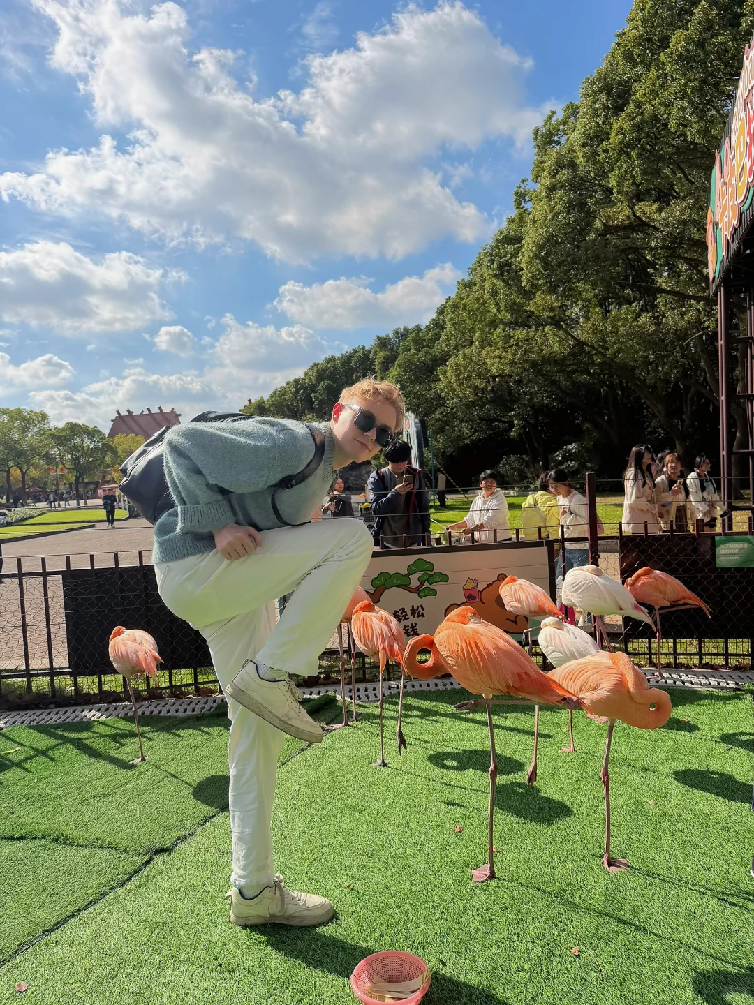 就是您的瑞典尤物，不是您的瑞典动物!