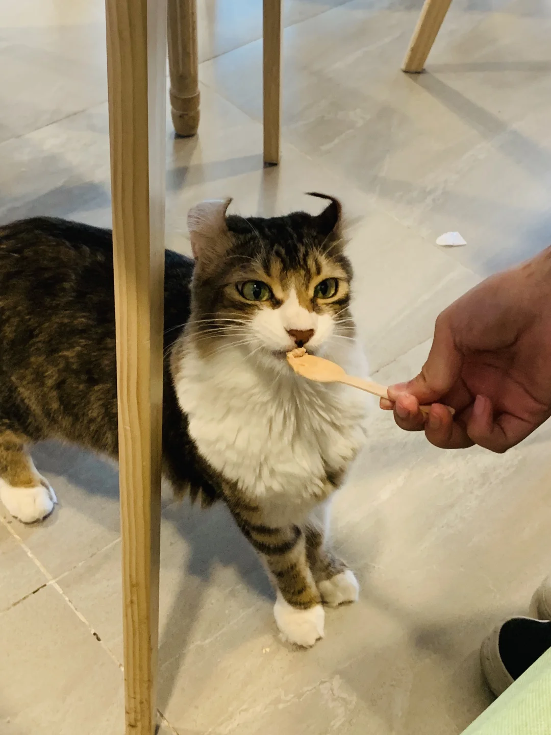 我只是犯了全天下女人都会犯的错🤫