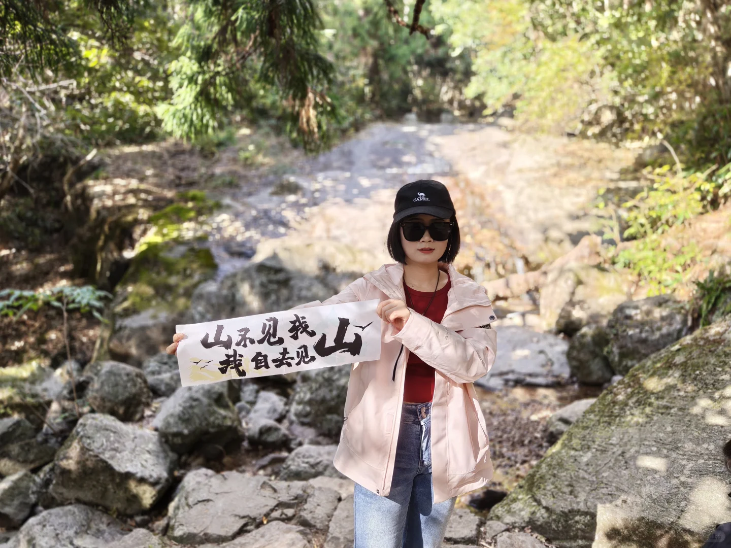 天目山风景#大树王#11月29日#杭州组织团