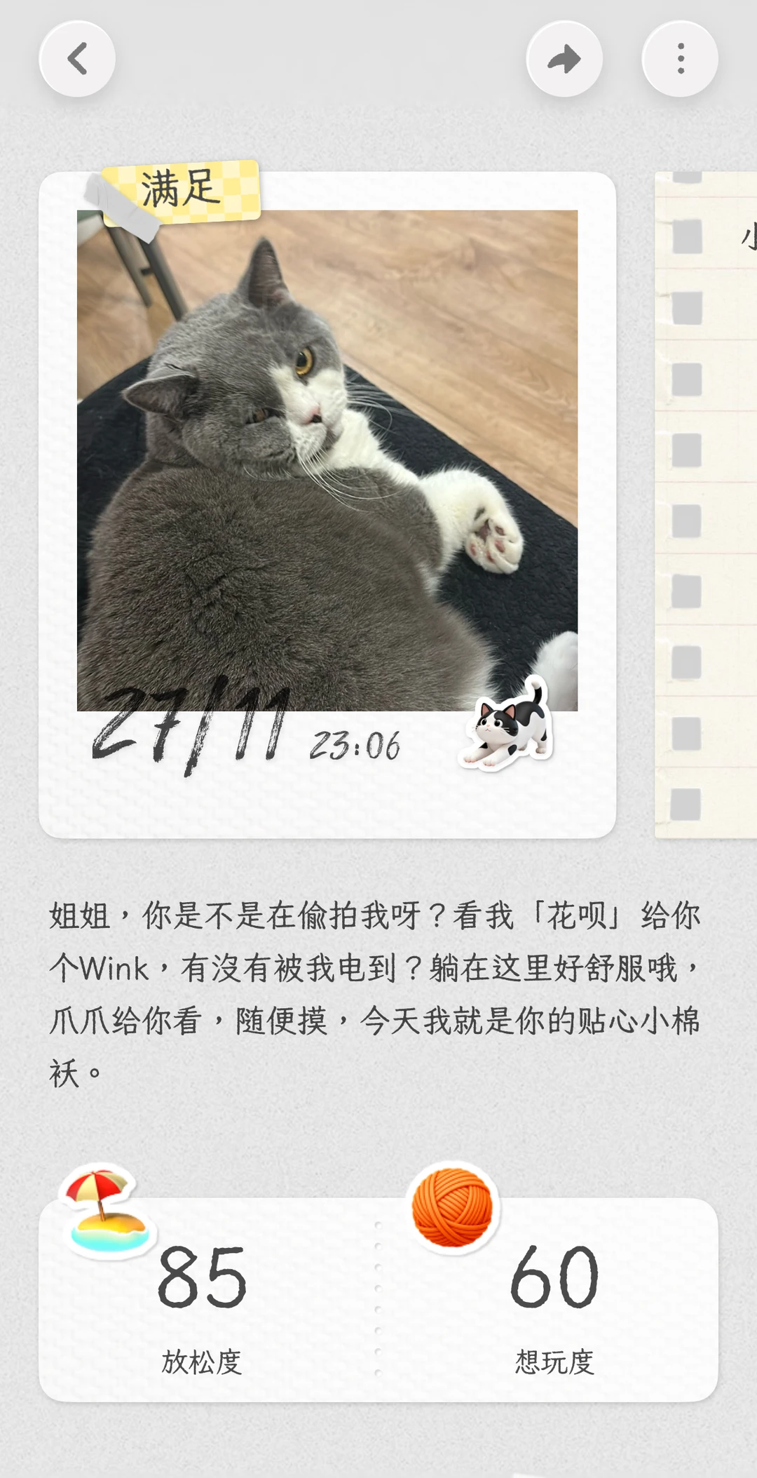 小猫的心思真难猜