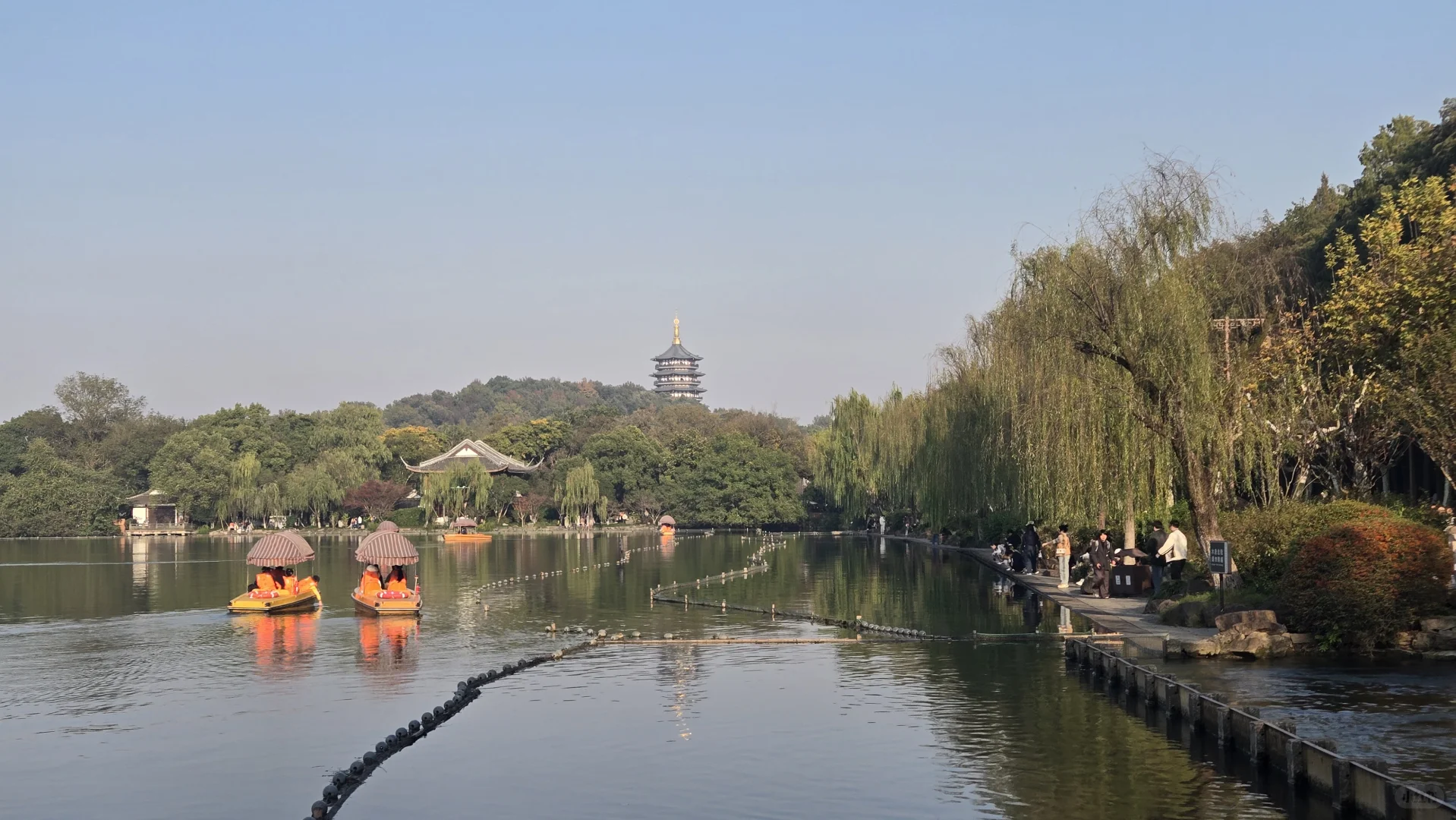 郁郁黄花，无非般若。青青翠竹，尽是法身。