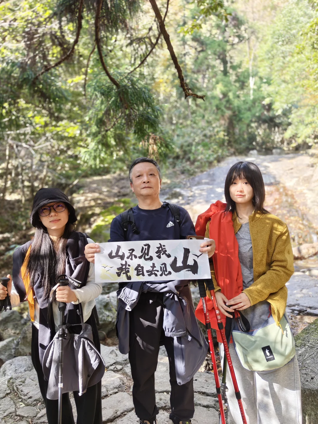 天目山风景#大树王#11月29日#杭州组织团