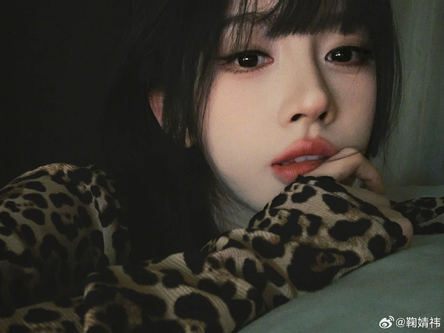 嗯对就用看狗的眼神看我