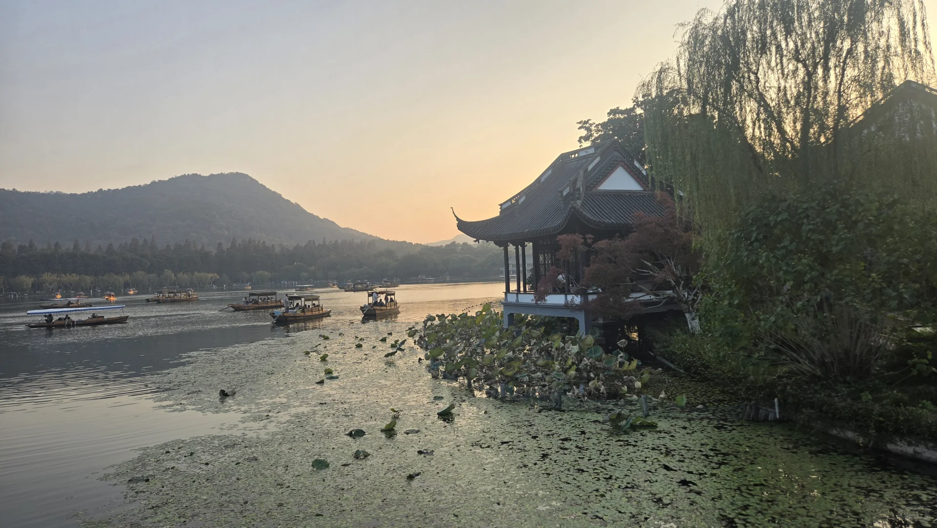 郁郁黄花，无非般若。青青翠竹，尽是法身。